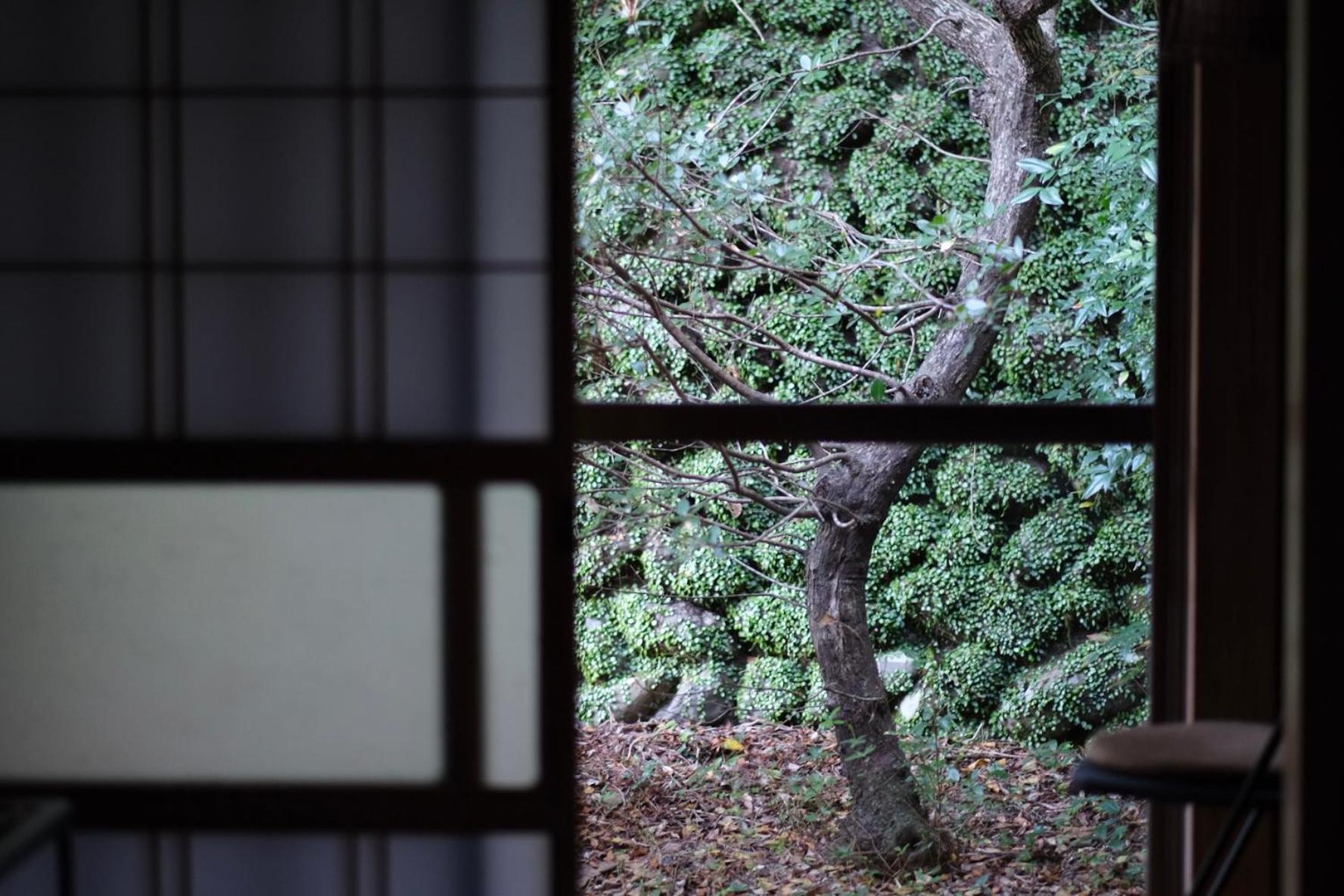 Shimanto Riverside Hideaway Zimmer foto